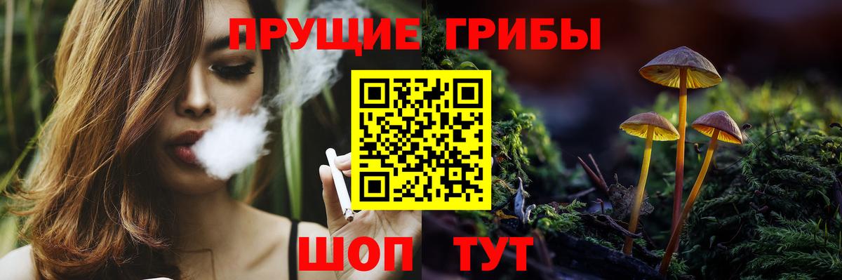 Псилоцибиновые грибы прущие грибы Заволжье