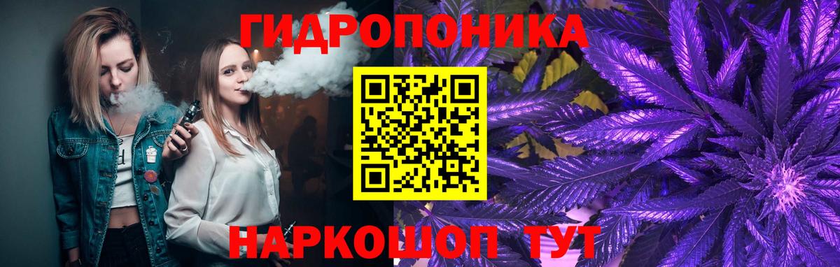 Каннабис Amnesia Заволжье
